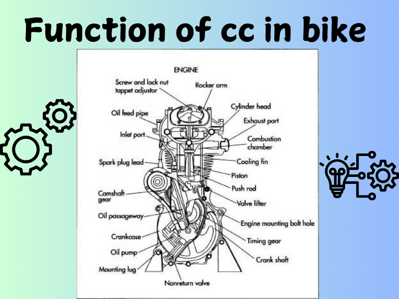 Function of cc 